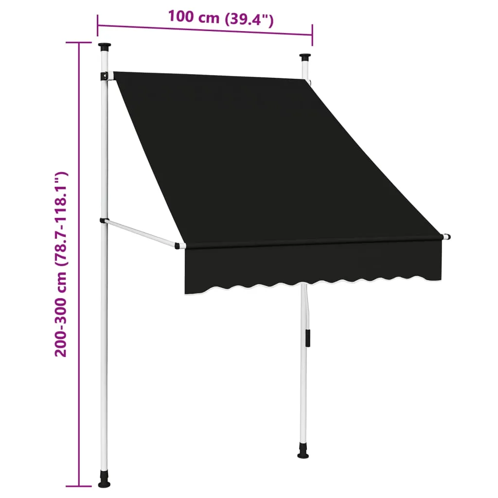 vidaXL Manual Retractable Awning 100 cm Anthracite