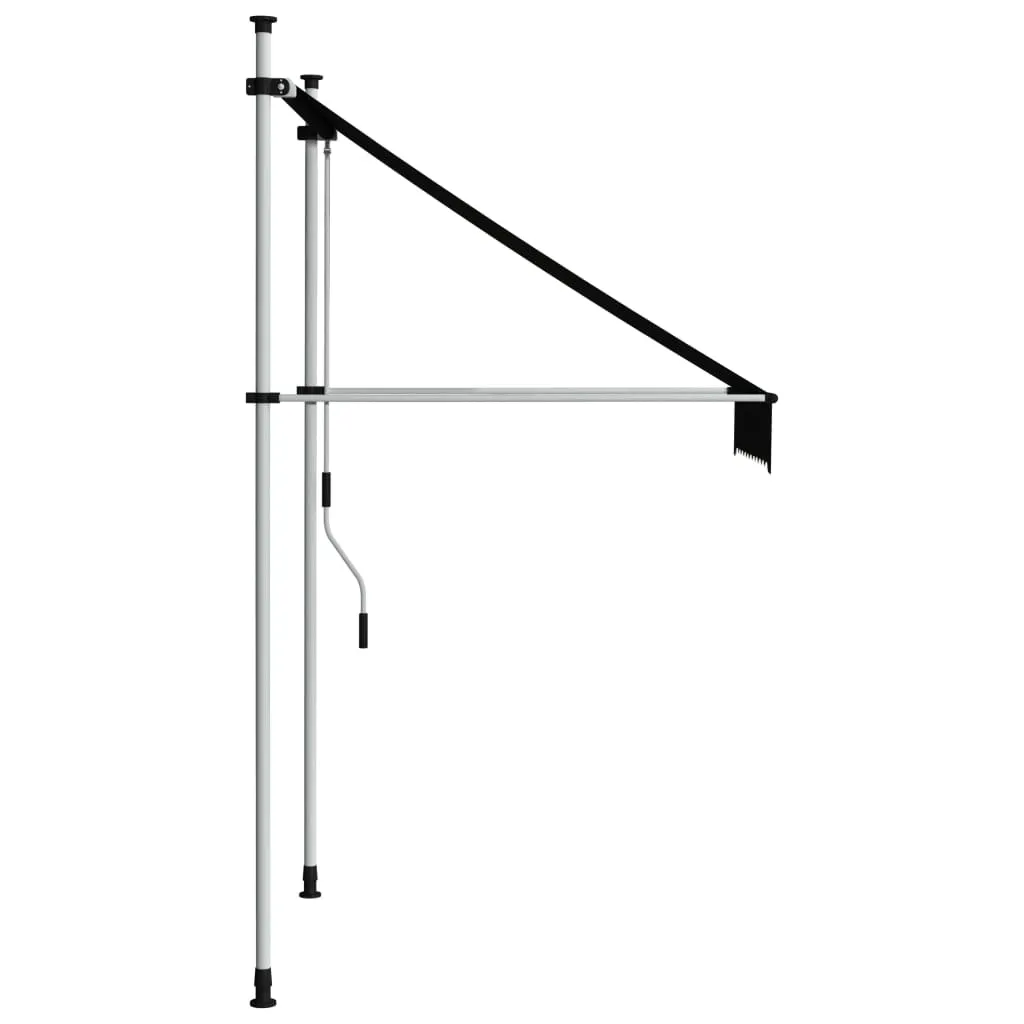 vidaXL Manual Retractable Awning 100 cm Anthracite